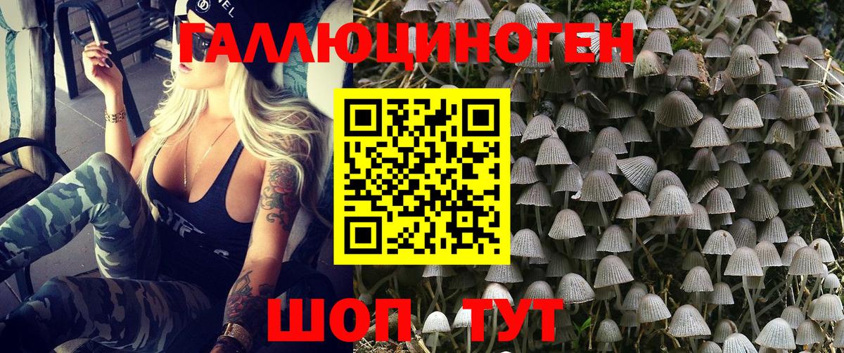 Галлюциногенные грибы MAGIC MUSHROOMS Мегион